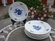 Dinner plates blue flower Nr.10/8549.
5000m2 Showroom.